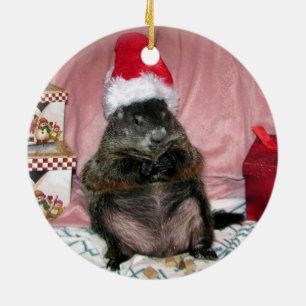 Santa Moses älsklings- Groundhog julprydnad Julgransprydnad Keramik