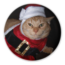 Santa Orange Tabby katt Knob
