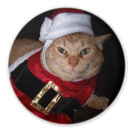 Santa Orange Tabby katt Knob Knopp