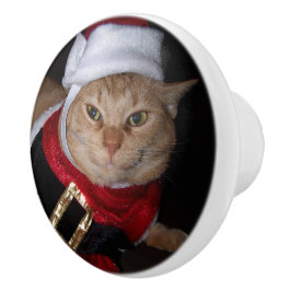 Santa Orange Tabby katt Knob Knopp