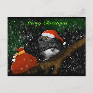 Santa Owl Christmas Card Helg Vykort
