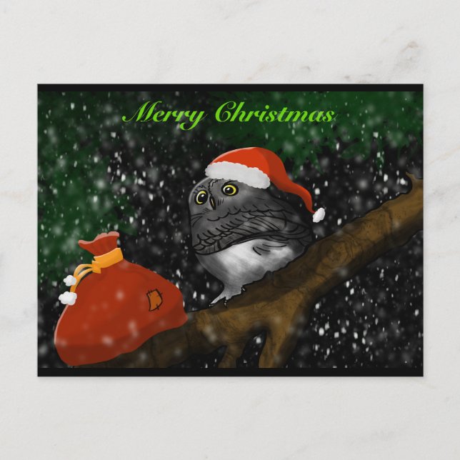 Santa Owl Christmas Card Helg Vykort (Framsida)