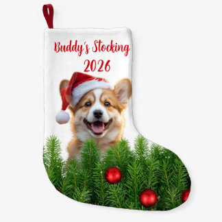 Santa Paws Corgi Holiday Stocking Liten Julstrumpa