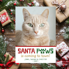 Santa Paws kattfoto Julkort