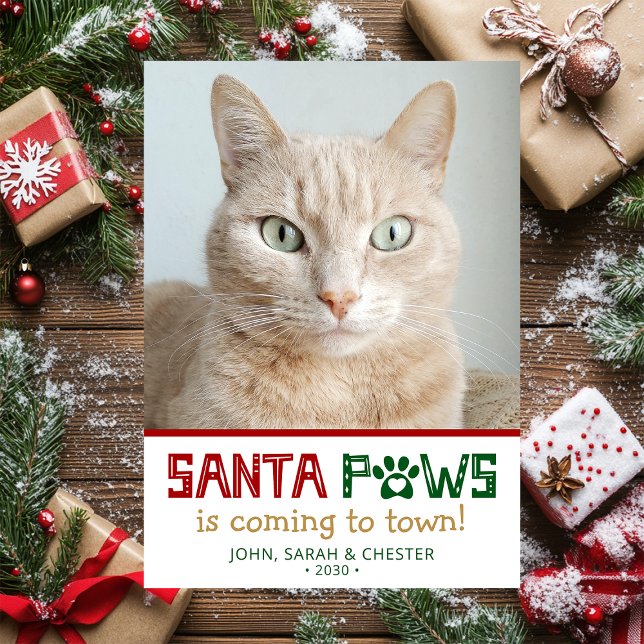 Santa Paws kattfoto Julkort (Skapare uppladdad)