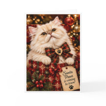 Santa Paws kommer till stan Personlig perser