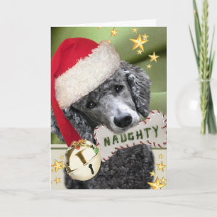 Santa Pudel Naughty eller Nice-kort Helgkort