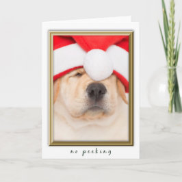 Santa Puppy No Peeking Helgkort