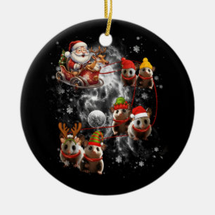 Santa Riding Opossum Reindeer Sleigh Julopo Julgransprydnad Keramik