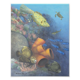 Santa Rosa Wall 2 Fine Art Print Fototryck