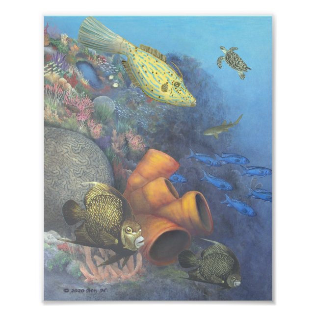 Santa Rosa Wall 2 Fine Art Print Fototryck (Framsidan)