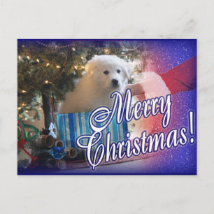 SANTA:S UNDERBARA PYRENEES CHRISTMAS PUPPY GIFT HELG VYKORT