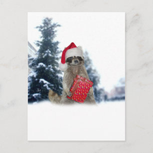 Santa Santa Raccoon Bandit Helg Vykort