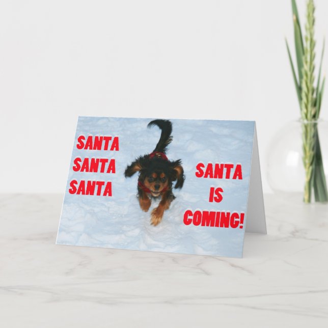 Santa, Santa, Santa Cavalier Kung Charles Spain Helgkort (Framsida)