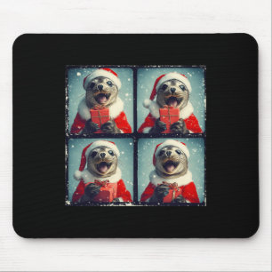 Santa Seal Ocean Animal Photography Sea Lejon Chri Musmatta