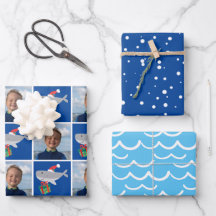 Santa Shark Photo
