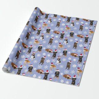 Santa Snowflake Blue Presentpapper