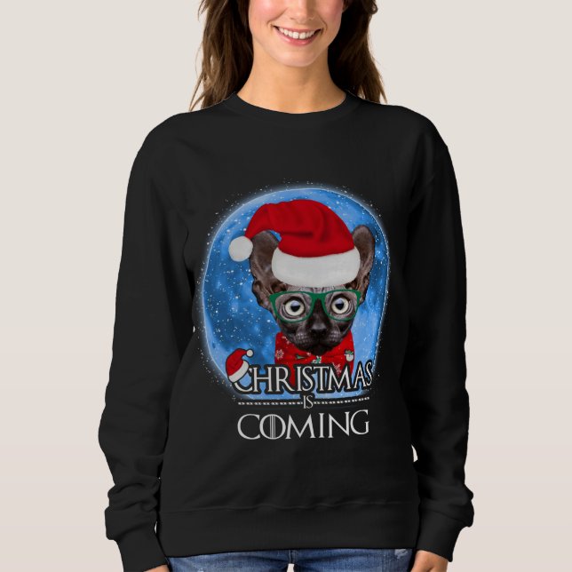 Santa Sphynx Cat God jul kommer att bli lustigt X T Shirt (Framsida)
