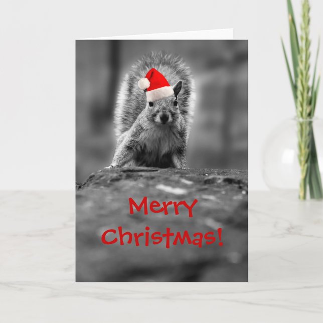 Santa Squirrel God jul Card Helgkort (Framsida)