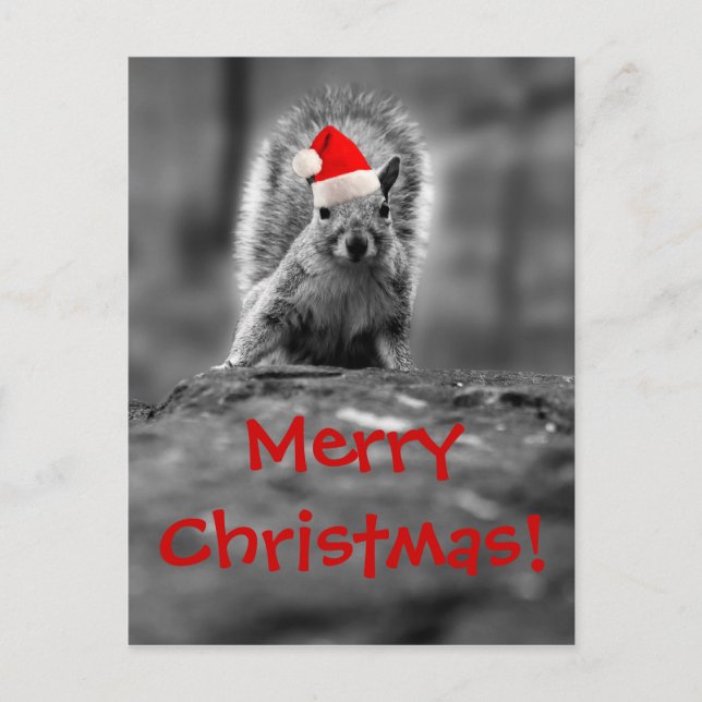 Santa Squirrel God jul vykort (Framsida)