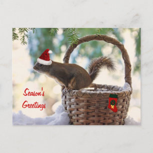 Santa Squirrel i Snowy jul Basket Helg Vykort