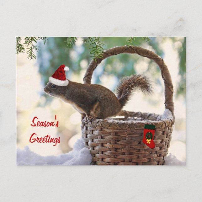 Santa Squirrel i Snowy jul Basket Helg Vykort (Framsida)