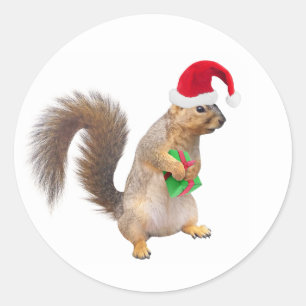 Santa Squirrel med Grönt Gift Stickers Runt Klistermärke