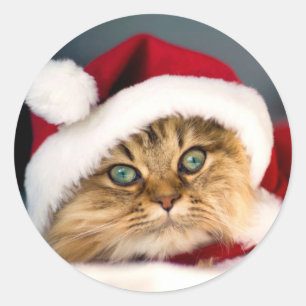 Santa Tabby Katt Klassisk Rund Klistermärke