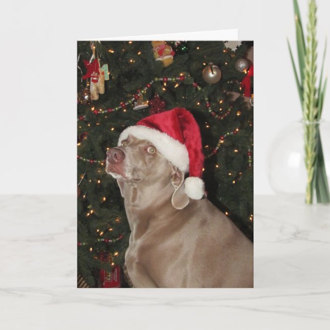 Santa Tass - A Weimaraner-Hund jul Helgkort (Framsida)