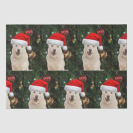 Santa Tass - Crystal, Husky-Hund jul