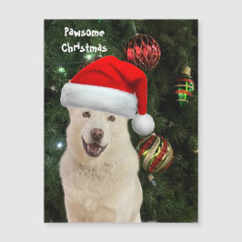 Santa Tass - Crystal, Husky-Hund jul