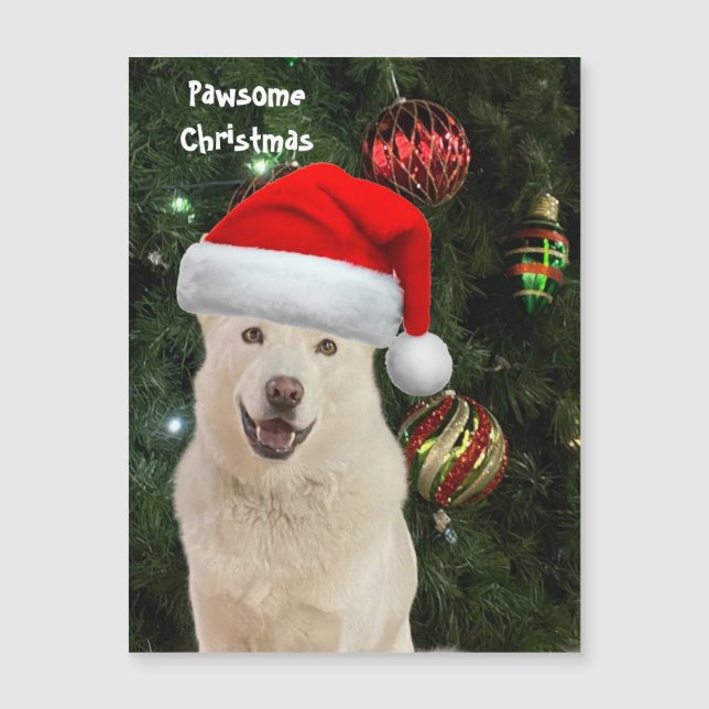 Santa Tass - Crystal, Husky-Hund jul (Framsida)