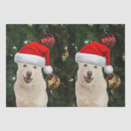 Santa Tass - Crystal, Husky-Hund jul