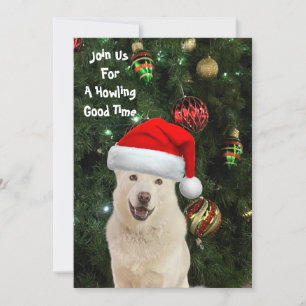 Santa Tass - Crystal, Husky-Hund jul Inbjudningar