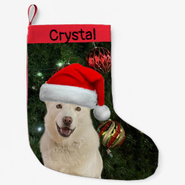 Santa Tass - Crystal the Husky Hund Personlig Liten Julstrumpa