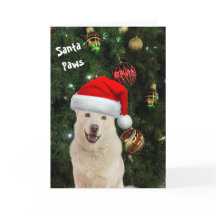 Santa Tass - Lycklig Husky Greeting Card