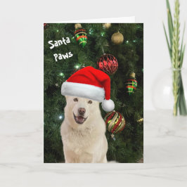 Santa Tass - Lycklig Husky Greeting Card Kort