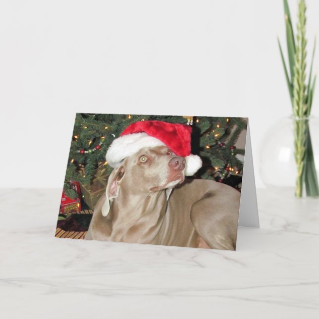 Santa Tass - Rain (alias Raina) Helgkort (Framsida)