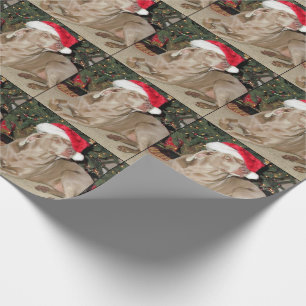 Santa Tass - Weimaraner Stil - Hund jul Presentpapper
