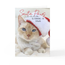 Santa Tassar är på väg till jul