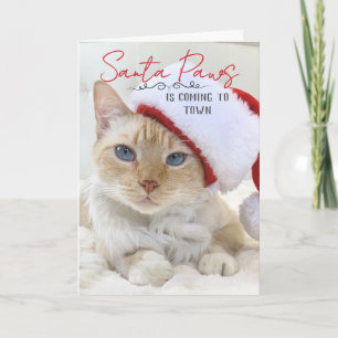 Santa Tassar är på väg till jul Kort