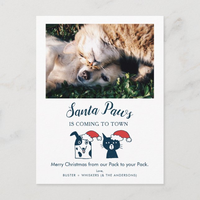 Santa Tassar | Funny Cat och Hund Pet Photo Helg Vykort (Framsida)