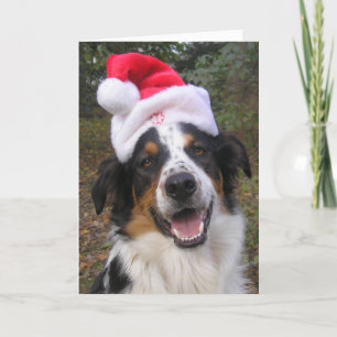 ’Santa Tassar’ Helgkort