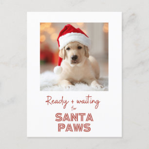 Santa Tassar - Hund älskare-julen Helg Vykort