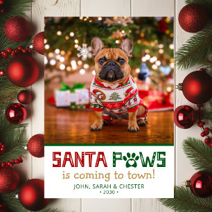 Santa Tassar Hund Photo Julkort