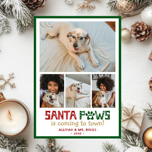 Santa Tassar Hund Photo Julkort
