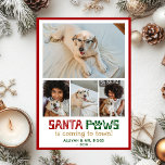 Santa Tassar Hund Photo Julkort<br><div class="desc">Det här fotokollage julkort i fantastisk med fyra foton,  "Santa Tassar kommer till stan!" i en roligt i typsnitt,  och ditt namn och året skulle vara perfekt för att skicka till dina vänner och familj. Alla kommer att få nya bilder av dig och dina hund från kärlek.</div>