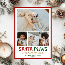 Santa Tassar Hund Photo Julkort
