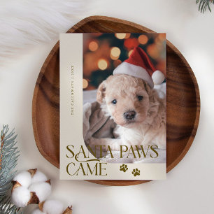 Santa Tassar kom Hund Photo Beige jul Julkort