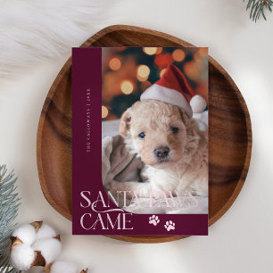 Santa Tassar kom Hund Photo Cranberry jul Julkort